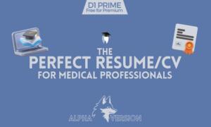 Resumé Perfection – Beta Version